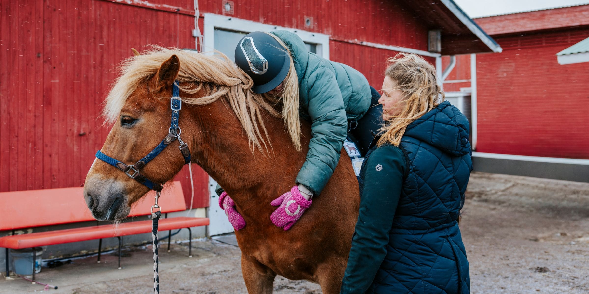 Ylistarossa sijaitseva SilverHill´s-hevostalli on yhteisöllinen talli, jossa keskitytään henkilökohtaiseen opastukseen, tunnetaitovalmennukseen ja hyvinvoinnin lisäämiseen. Liiverin myöntämä investointituki oli tärkeässä roolissa toiminnan alkumetreillä.